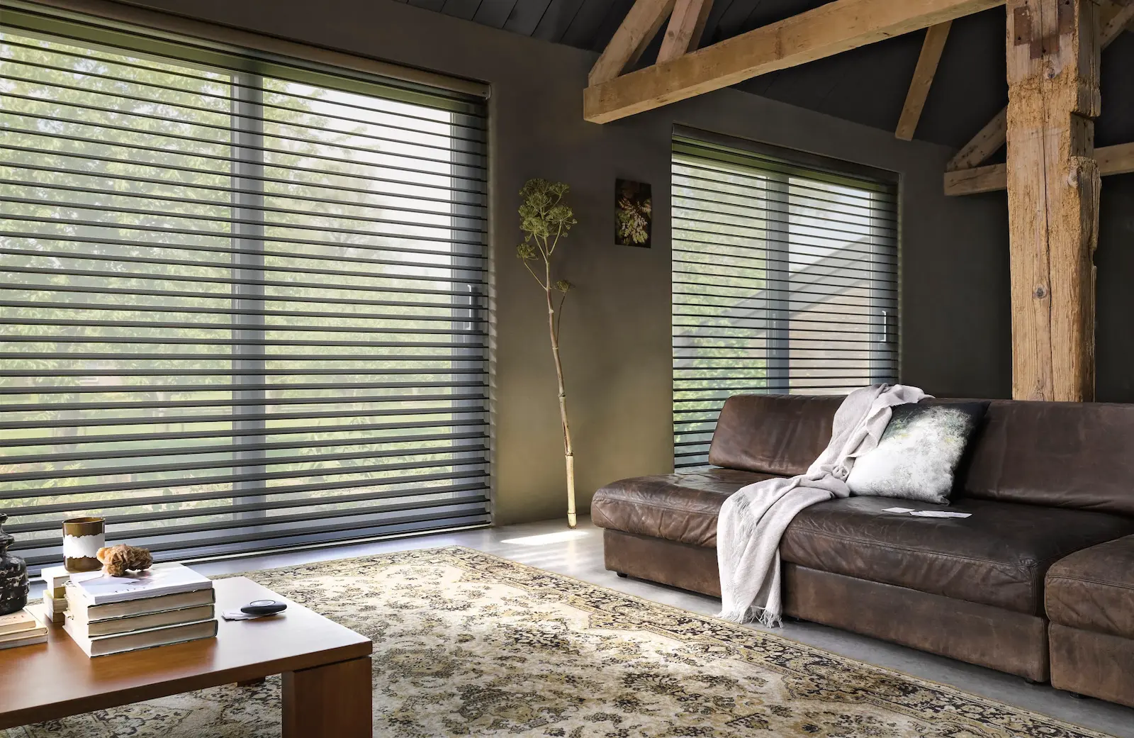 Silhouette Hunter Douglas